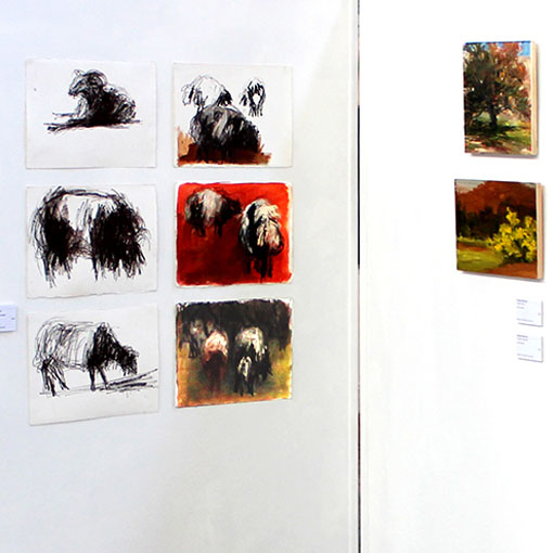 Selection of images by Honours student Suzanne McLeod from 'Herding the Animal' 2015