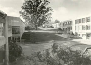 Mt Helen Union Building, including Stage Two additions, on the left hand side of the Tree of Knowledge, 1979