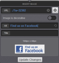Toggle image options dialogue box with example asset ID in URL field and Alt text of Find us on Facebook with preview of Facebook logo