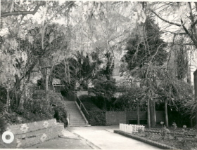 SMB Botanical Gardens (Cat.No.4750)