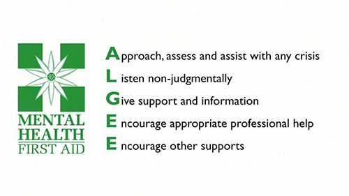 Mental Health First Aid Action Plan. Approach, assess and assist with any crisis. Listen non-judgementally. Give support and information. Encourage appropriate professional help. Encourage other supports.