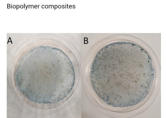 Biopolymer composites