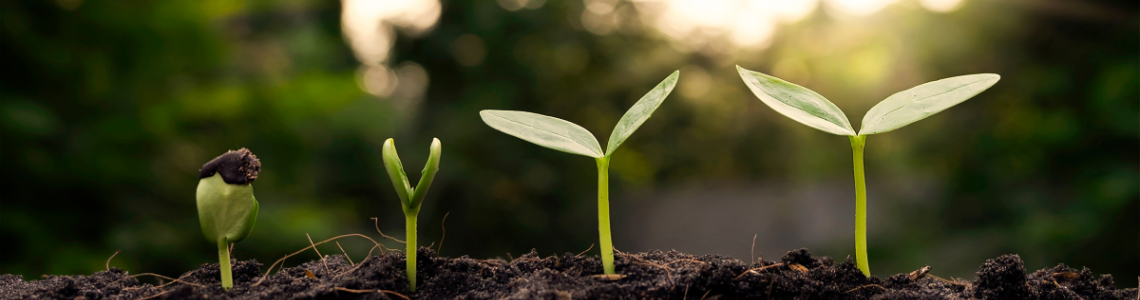 Information for Current Residents