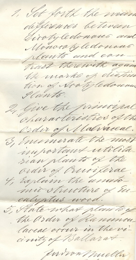 Handwritten July Term 1882 Examination Paper (Cat.No.504)