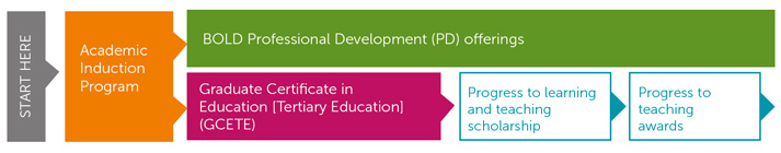 Academic Induction Program > BOLD PD Offerings > GCETE > Progress to learning and teaching scholarship > Progress to teaching awards