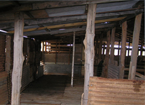 Shearing-shed-290x210