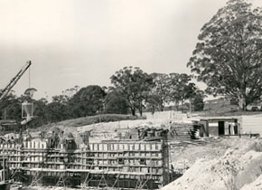 Mt Helen Union Building under construction, 1972. Builders cars are shaded by the Tree of Knowledge