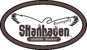 Shanhaven