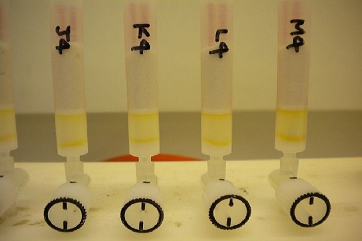 Degraded amine separation prior to analysis