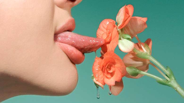 Petrina Hicks, The Chrysalis, 2011 video still HD video Courtesy the artist and Stills Gallery, Sydney