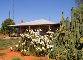 1950s-homestead-290x210